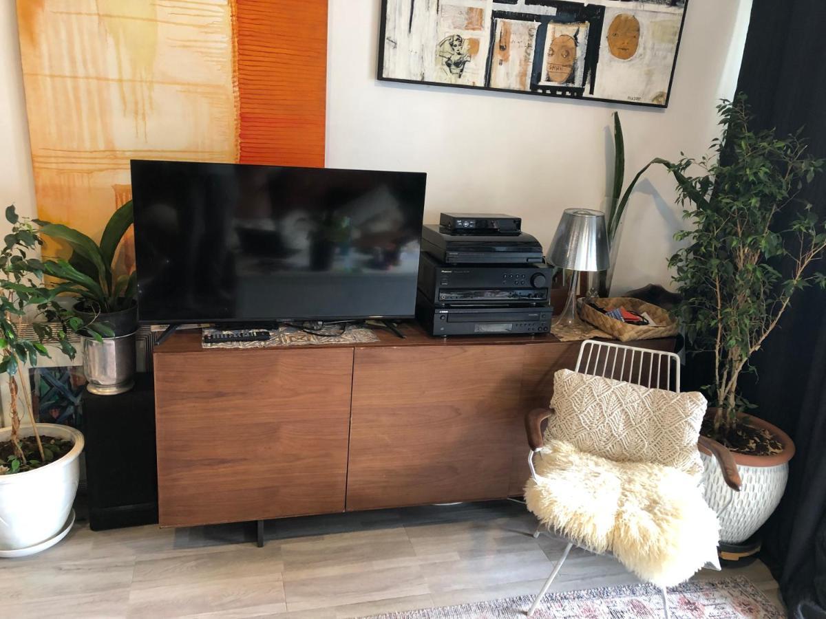 Cool Apartment, Central To Everything, Share With 2X Bulldogs Auckland Ngoại thất bức ảnh